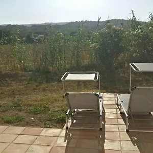 Les Vignes Et La Pinede Pres De La , Saint-Tropez Frankreich